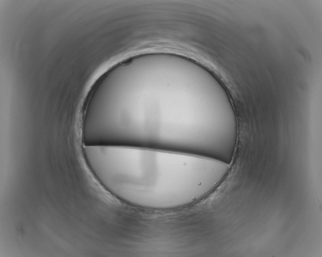 X0000111351522200907100924