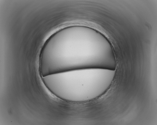 X0000111351523200907100924