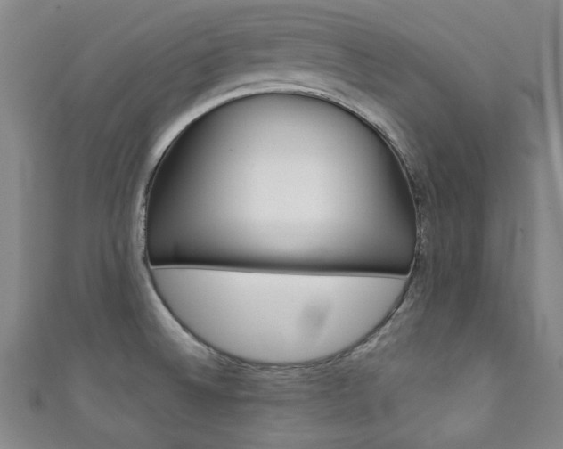 X0000111351524200907100924