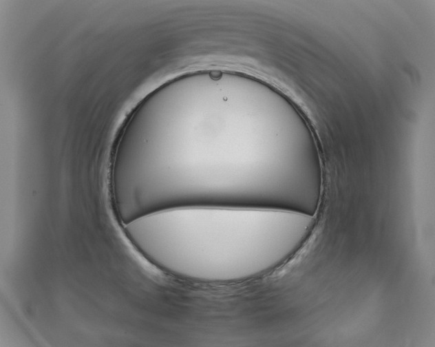 X0000111351525200907100924