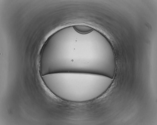 X0000111351526200907100924