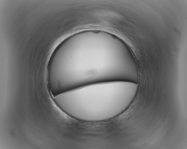 X0000111351527200907100924