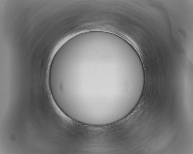 X0000111351528200907100924