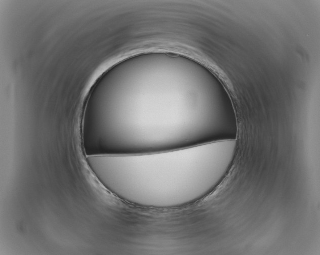 X0000111351530200907100924
