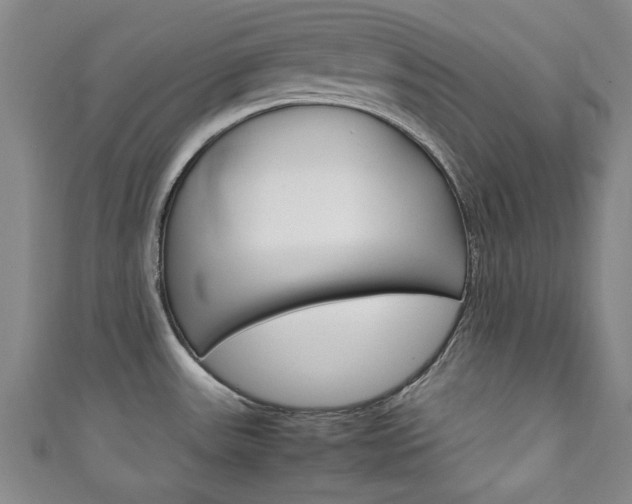 X0000111351531200907100924