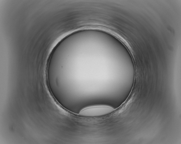 X0000111351533200907100924