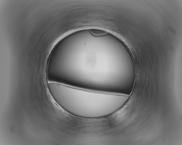 X0000111351534200907100924