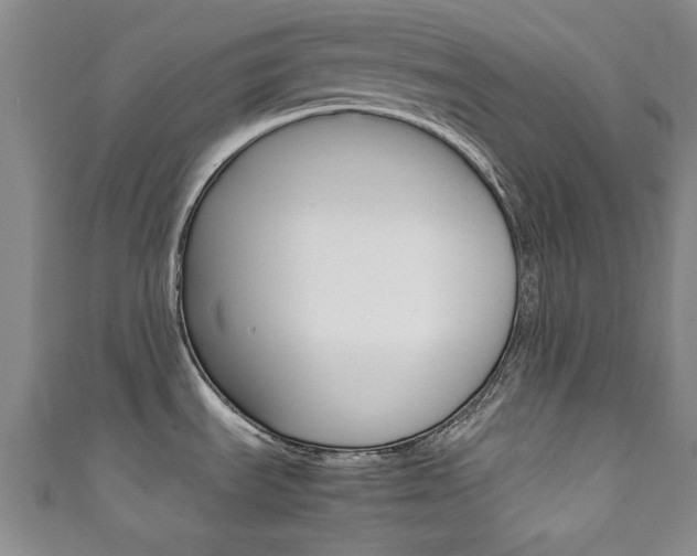 X0000111351535200907100924