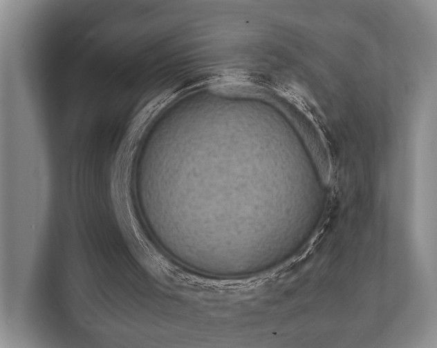 X0000111350001200907101220