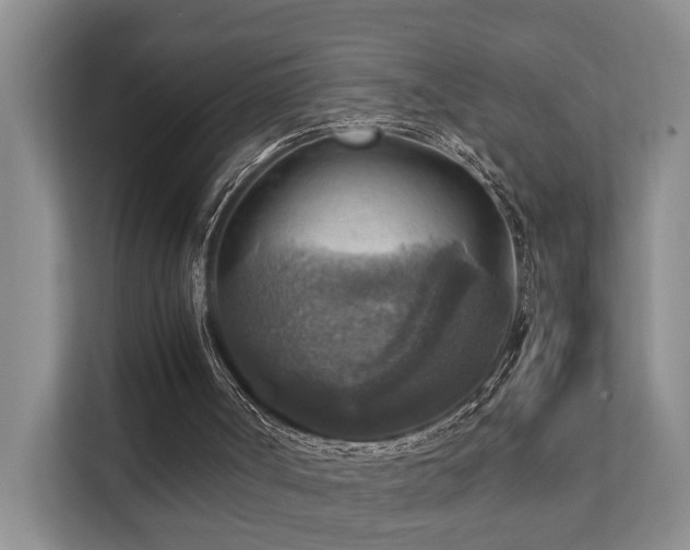 X0000111350002200907101219