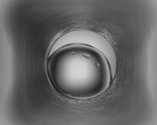 X0000111350003200907101219