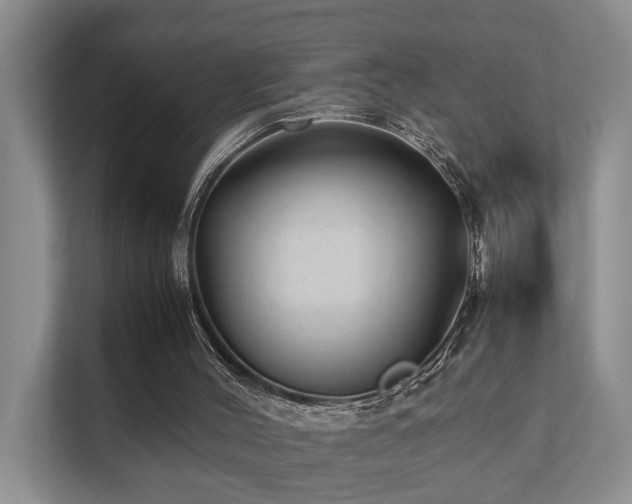 X0000111350004200907101219