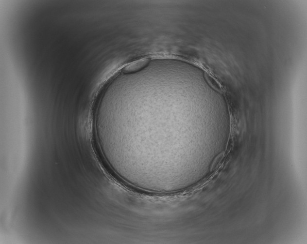 X0000111350005200907101219