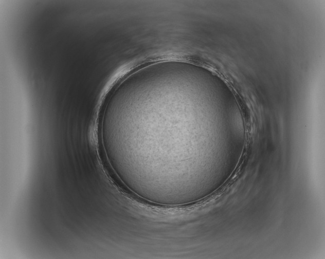 X0000111350006200907101219