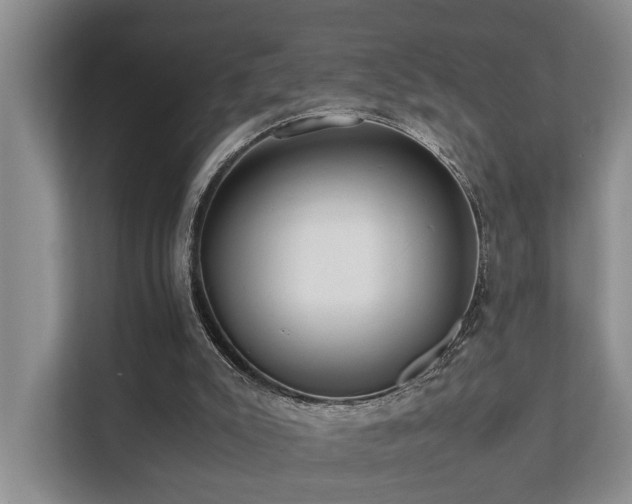 X0000111350007200907101219