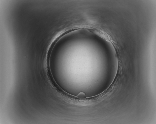 X0000111350008200907101219