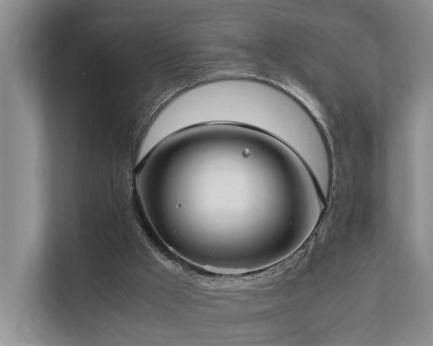 X0000111350009200907101219