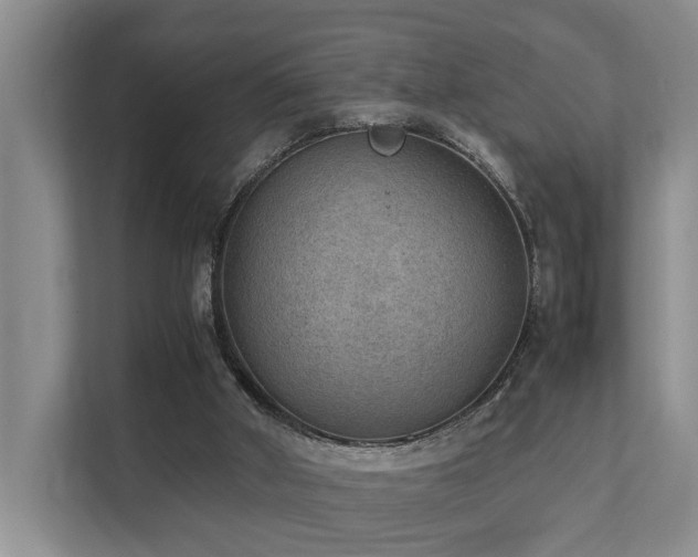 X0000111350010200907101219