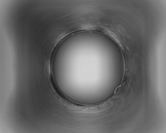 X0000111350011200907101219