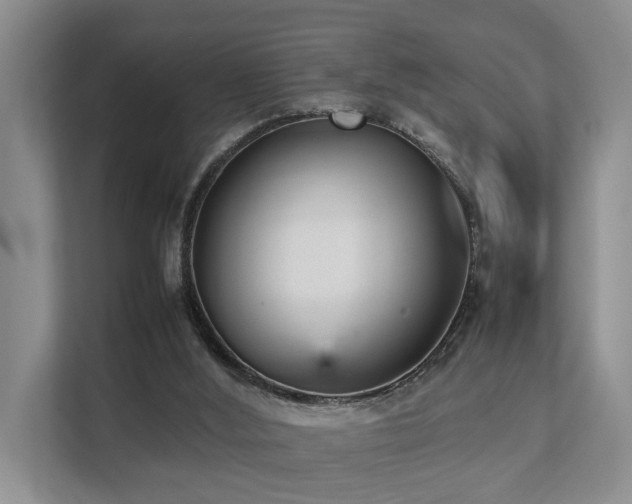 X0000111350012200907101219