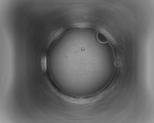 X0000111350014200907101219