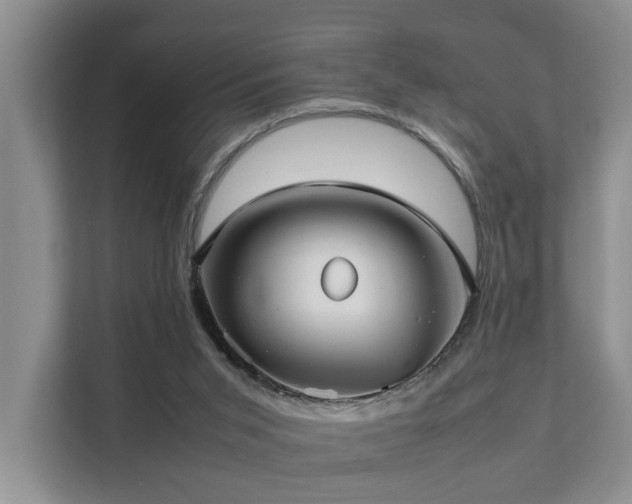 X0000111350015200907101219