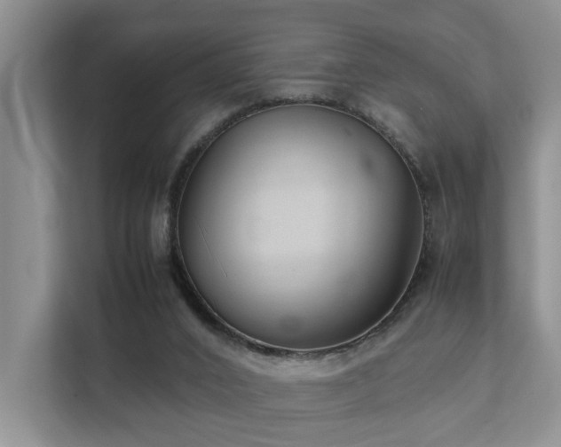 X0000111350016200907101219