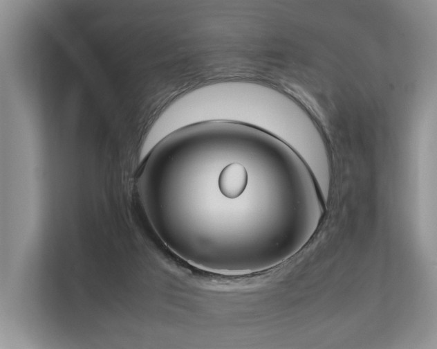 X0000111350017200907101219