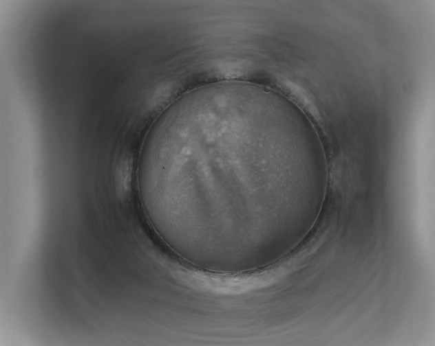 X0000111350018200907101219