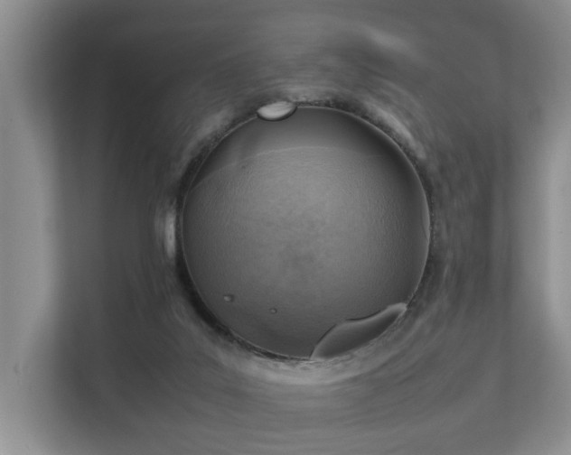 X0000111350019200907101219