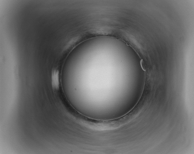 X0000111350020200907101219