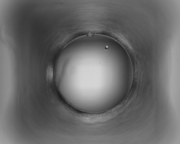 X0000111350021200907101219