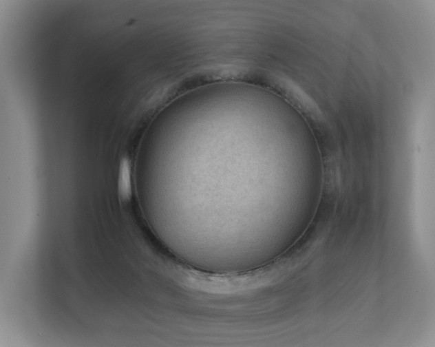 X0000111350022200907101219