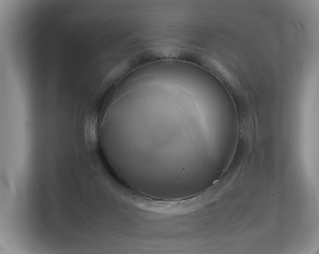 X0000111350023200907101219