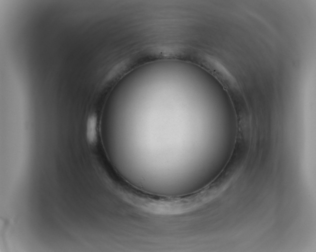 X0000111350024200907101219