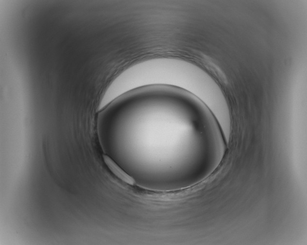 X0000111350025200907101219