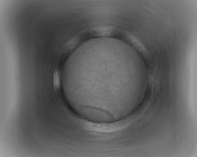 X0000111350026200907101219