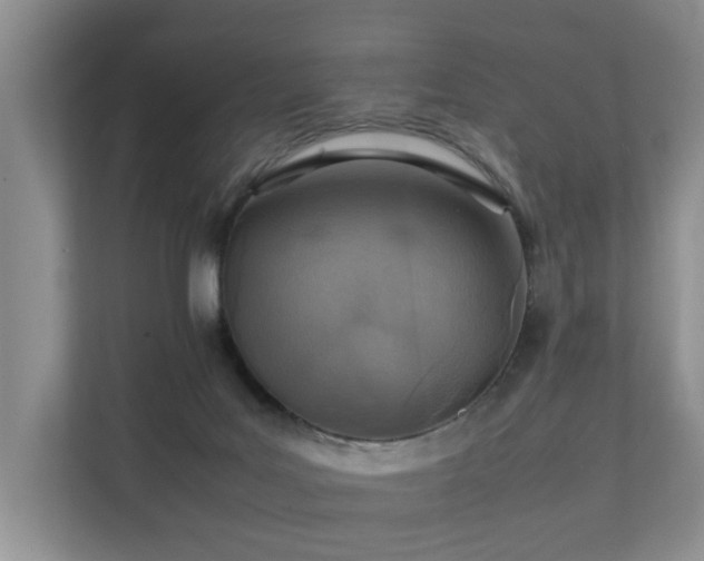 X0000111350027200907101219