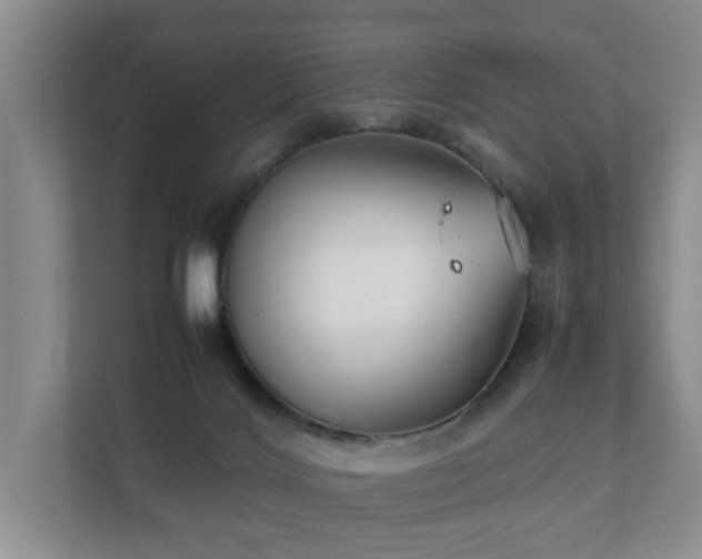 X0000111350028200907101219