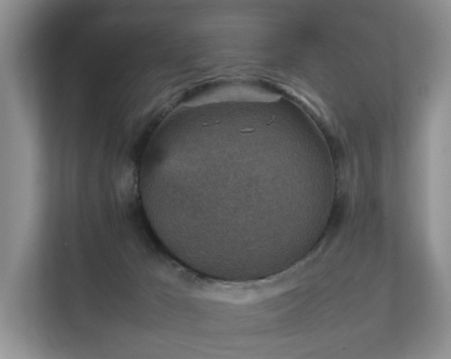 X0000111350029200907101219