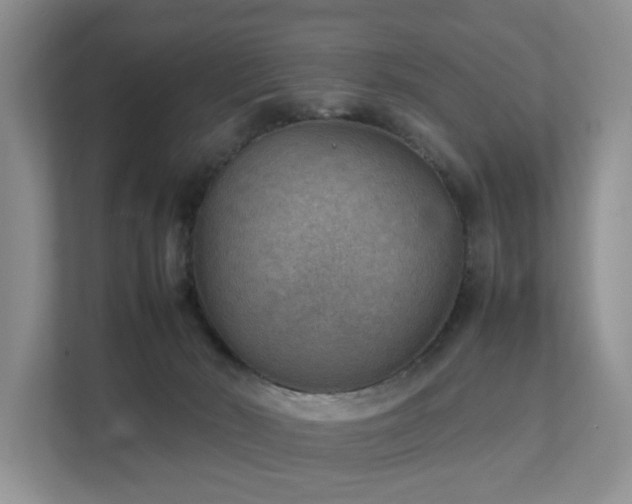 X0000111350030200907101219