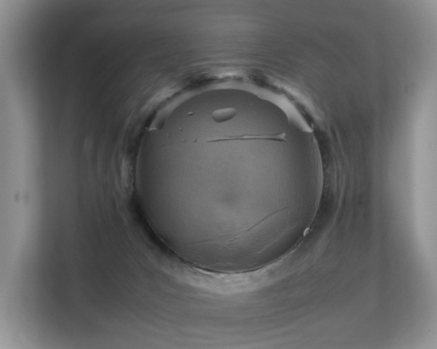 X0000111350031200907101219