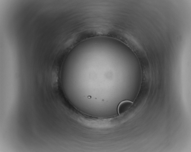 X0000111350032200907101219