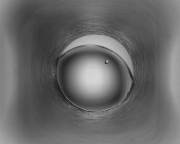 X0000111350033200907101219