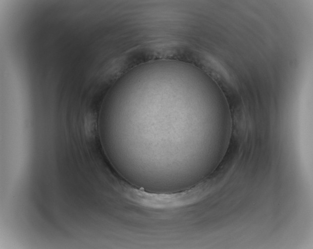 X0000111350034200907101219