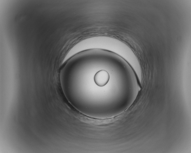 X0000111350035200907101219