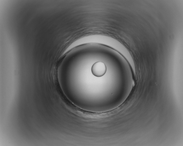 X0000111350036200907101219