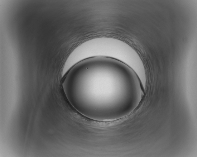 X0000111350037200907101219