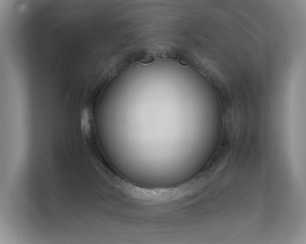 X0000111350038200907101219