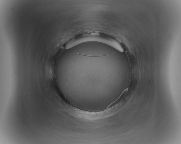 X0000111350039200907101219